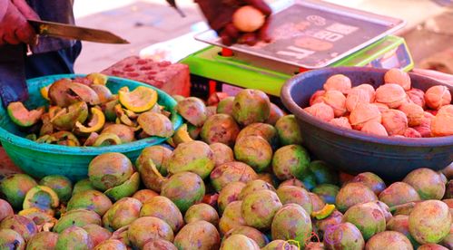 秋日水果季 来临洮实现水果与蔬菜自由