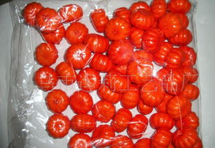 仿真工艺品水果系列 桔子盆景配件与盆栽全面解析