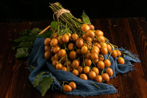 金黄盛夏 黄皮果的镜头美学