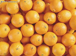 蔬果特写0169 镜头下的自然馈赠，与色彩的味觉遐想