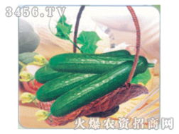 绿色商机 蔬菜种子招商代理加盟批发全攻略